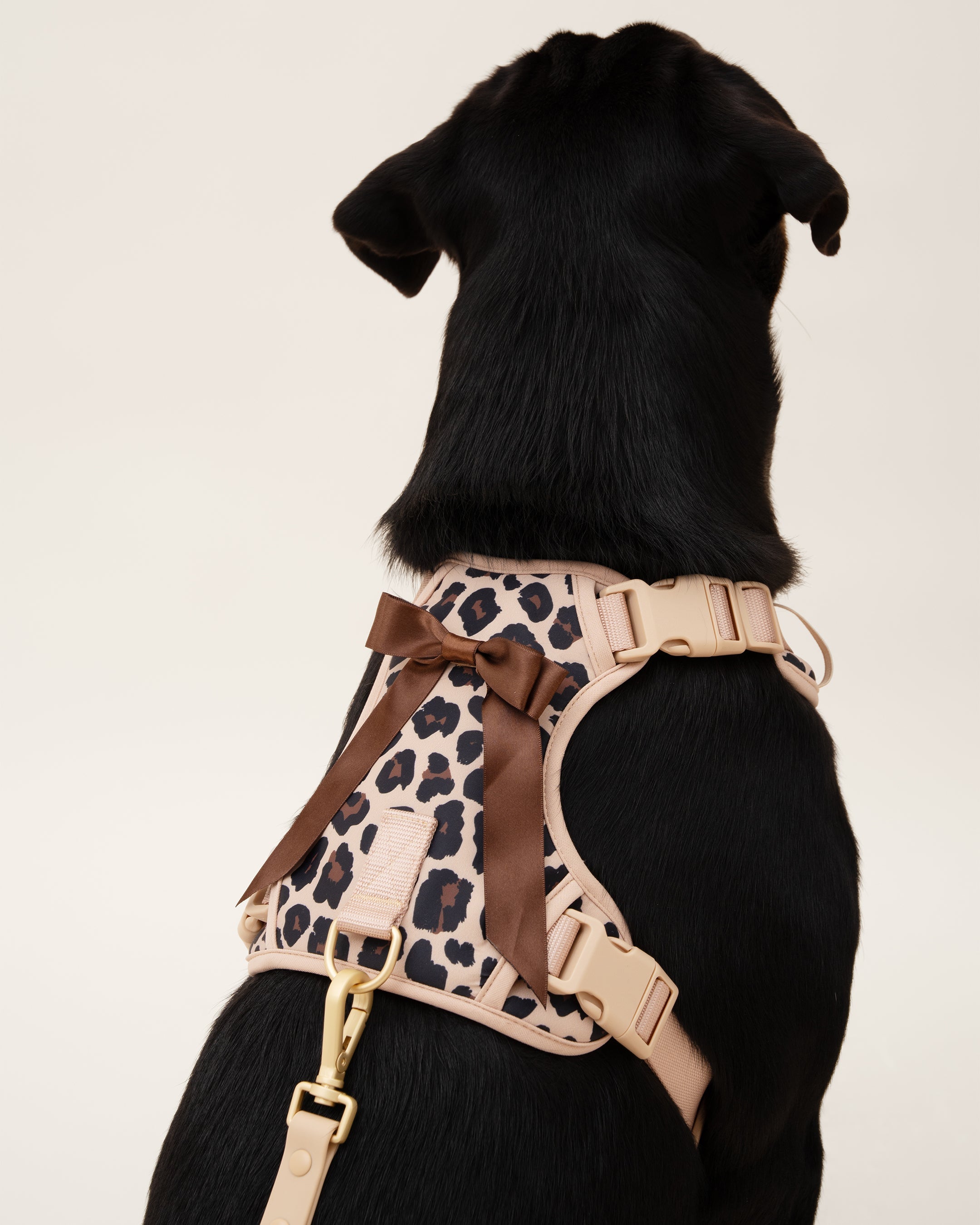 Wander! Bow Harness 2.0 - Leopard